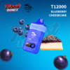 T12000 Blueberry Cheesecake 1